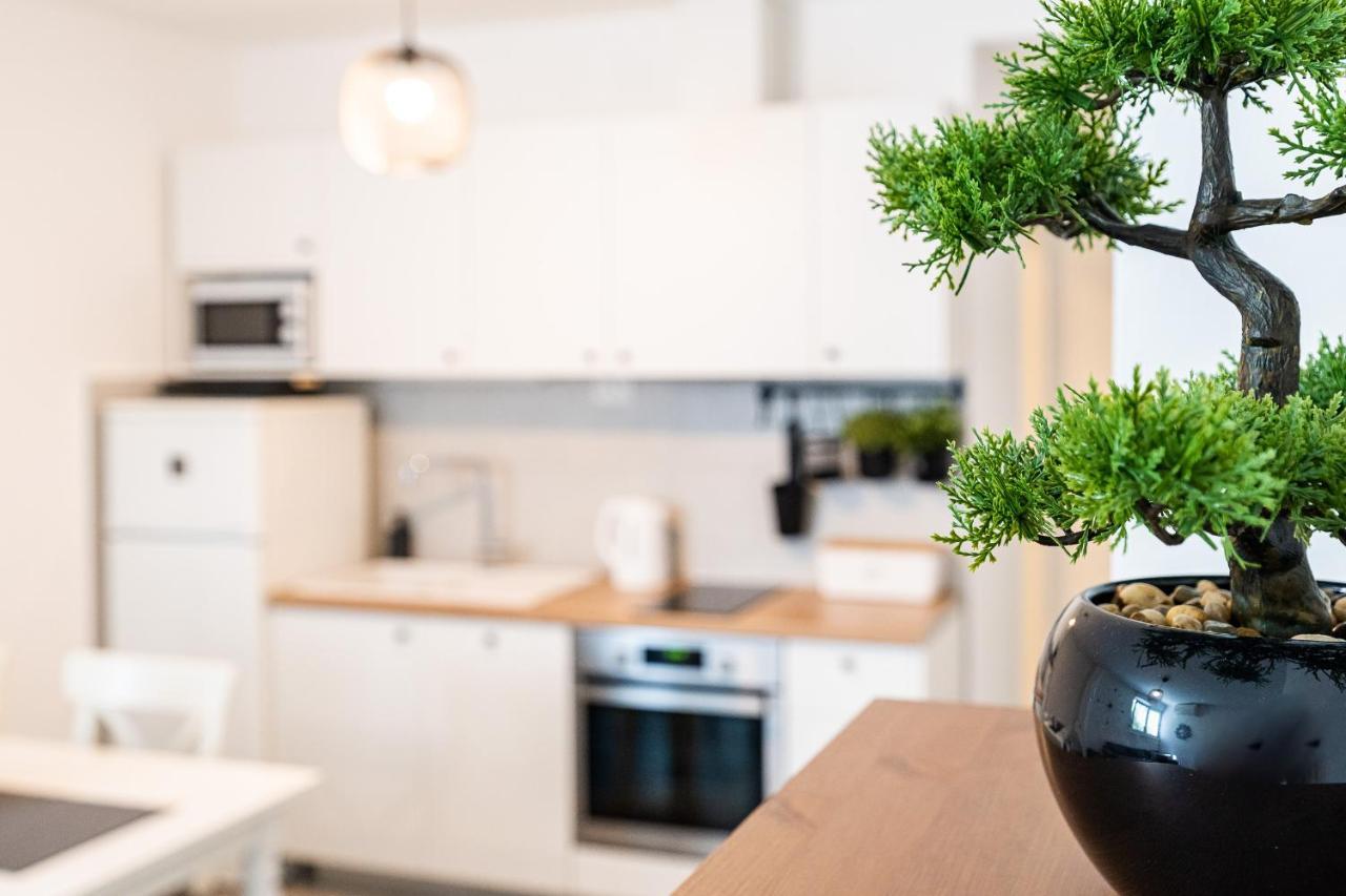 Apartments Juraj Petrčane Zewnętrze zdjęcie